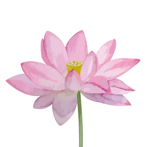中級講座